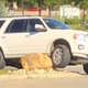 Illustration for article titled Evil Boulder Menace Somehow Manages To Take Out A Fistful Of SUVs